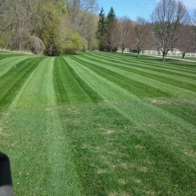 Lawn Care In MN