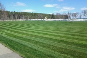 Lawn Care Services Shown