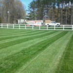 Fertilizing Lawn Care Service