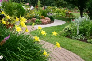 Lawn and Yard Fertilizing Services
